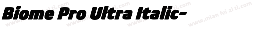 Biome Pro Ultra Italic字体转换